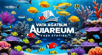 10 Situs Judi Tembak Ikan Terpercaya – Daftar Sekarang