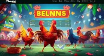 Judi sabung ayam online dengan transaksi cepat dan tanpa potongan: Nikmati Pengalaman Taruhan yang Mudah dan Menguntungkan!